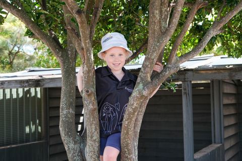 A child exploring beside a tree outdoors at Expeditions Avoca
